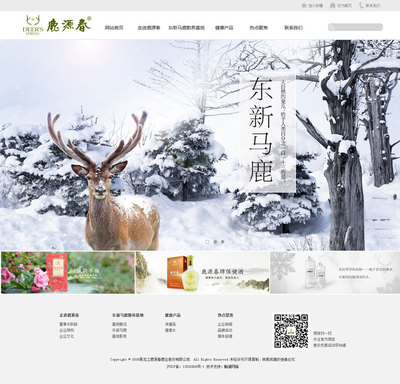 哈爾濱網(wǎng)站建設(shè)的智慧之選——翰諾科技網(wǎng)頁制作專業(yè)服務(wù)